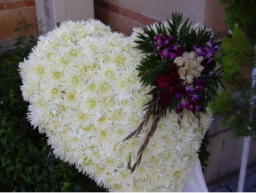 ΚΑΡΔΙΑ ΣΥΛΛΥΠΗΤΗΡΙΩΝ ΤΡΙΠΟΔΗ ΜΕ ΣΥΝΘΕΣΗ ΝΟ1