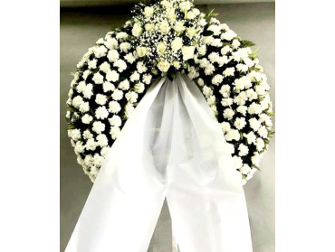 ΣΤΕΦΑΝΙ ΣΥΛΛΥΠΗΤΗΡΙΩΝ ΜΕ ΜΙΑ ΣΥΝΘΕΣΗ ΛΕΥΚΗ ΝΟ2