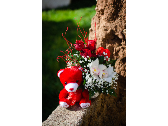 ΚΑΡΔΙΑ ΜΕ ΑΡΚΟΥΔΑΚΙ ΝΟ2