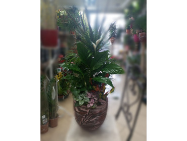 ΣΥΝΘΕΣΗ ΦΥΤΩΝ ΝΟ1