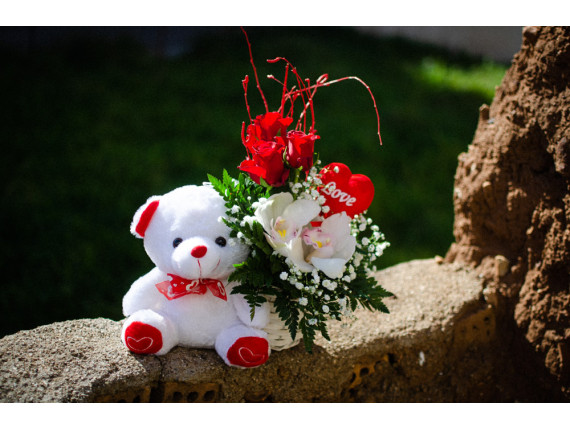 ΣΥΝΘΕΣΗ ΣΕ ΠΗΛΙΝΟ ΚΑΣΠΩ ΜΕ ΑΡΚΟΥΔΑΚΙ 22