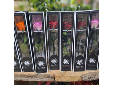 ΚΟΥΤΙ ΜΕ ΤΡΙΑΝΤΑΦΥΛΛΟ FOR EVER