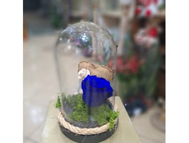 ΓΥΑΛΑ ΜΕ ΤΡΙΑΝΤΑΦΥΛΛΟ FOR EVER ΜΠΛΕ