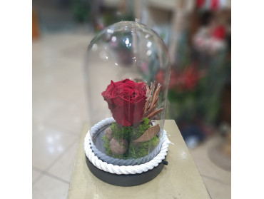 ΓΥΑΛΑ ΜΕ ΤΡΙΑΝΤΑΦΥΛΛΟ FOR EVER ΚΟΚΚΙΝΟ