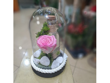 ΓΥΑΛΑ ΜΕ ΤΡΙΑΝΤΑΦΥΛΛΟ FOR EVER ΡΟΖ